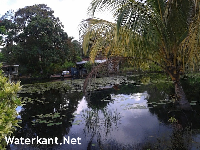 ‘Suriname mag waterbronnen niet verkwanselen’