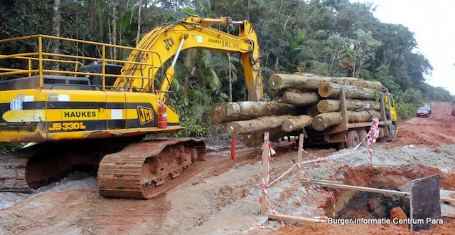Minister wil houttransport uit verkeer bannen