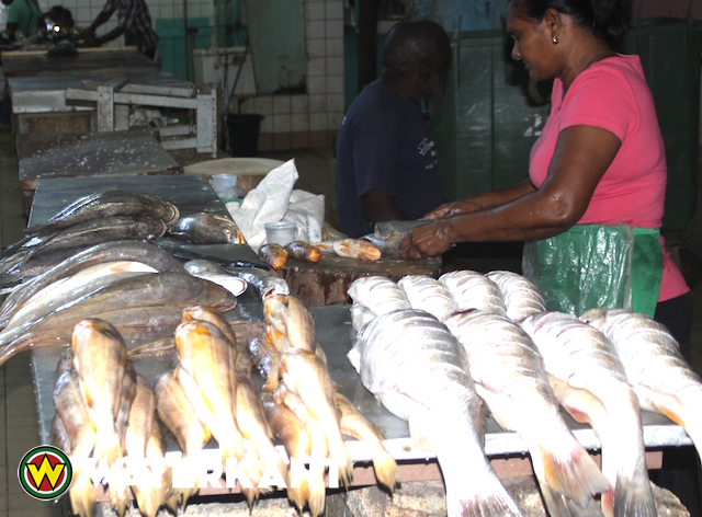 Minister wil duurzame visserijsector voor Suriname