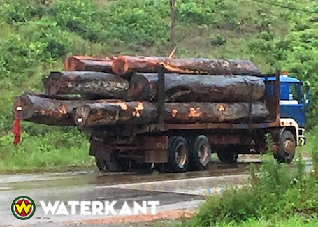 Bosbeheer Suriname onderschept weer illegaal hout