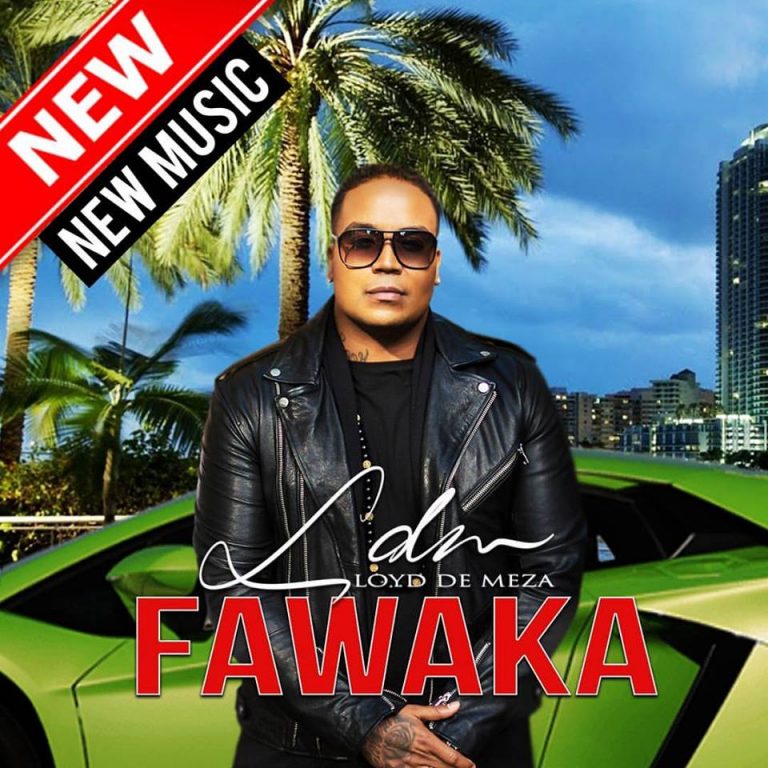 Nieuwe EP Lloyd de Meza getiteld 'Fawaka'