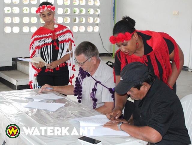 Inheemse Ananas telers Powakka verzekerd van afzet