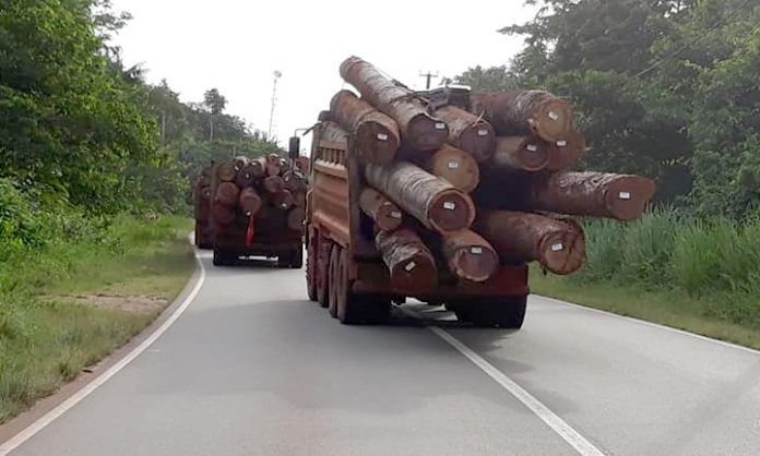 Politie Suriname voert controle op zwaar beladen houttrucks op