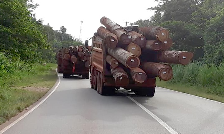Politie Suriname voert controle op zwaar beladen houttrucks op