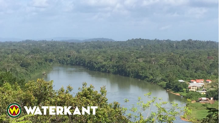 Suriname rekent op ‘boscompensatie’ na goedkeuring milieuverdrag van Parijs
