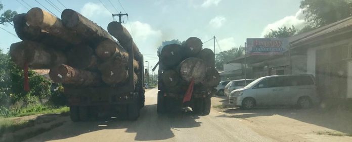 Regering Suriname wil verbod op transport boomstammen over de weg