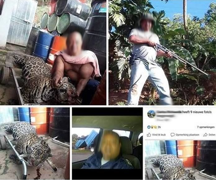Lid gewapende machten Suriname poseert met dode jaguar