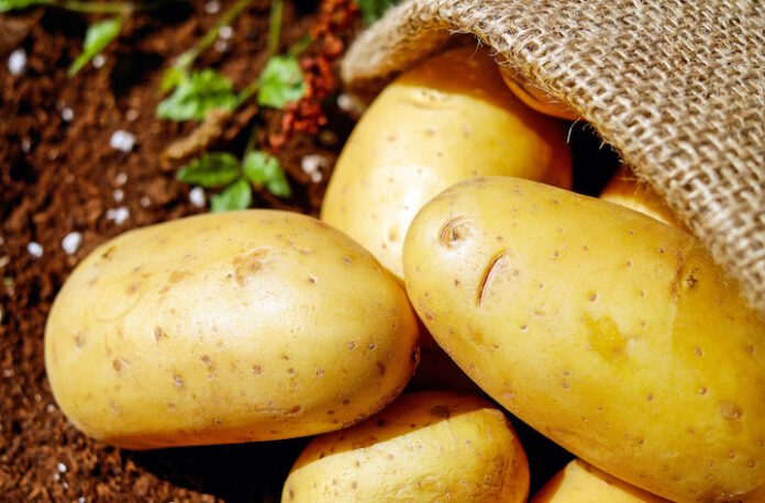 Aardappelen in Suriname