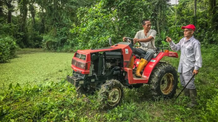 Peperpot Natuur Park in Suriname werkt aan een nieuwe toekomst