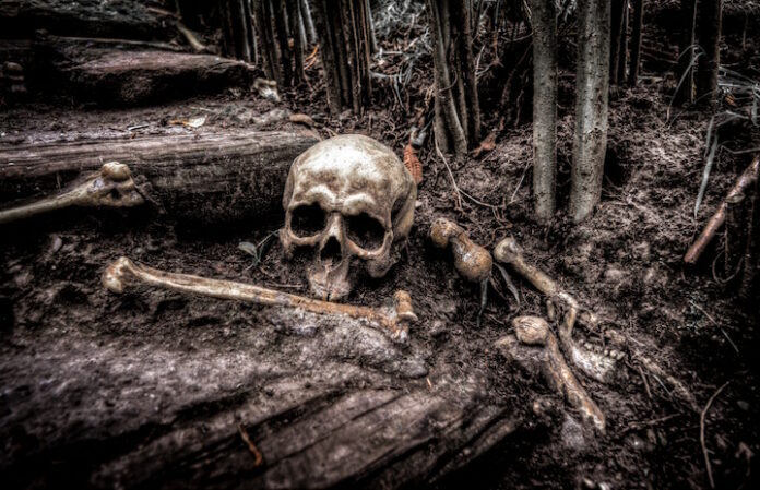 Skelet van in Suriname vermiste man aangetroffen te Kwakoegron