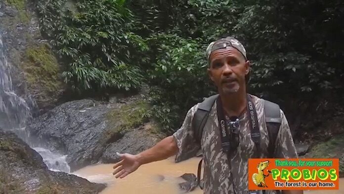 Zware vervuiling van Irene vallen in Suriname door goudzoekers