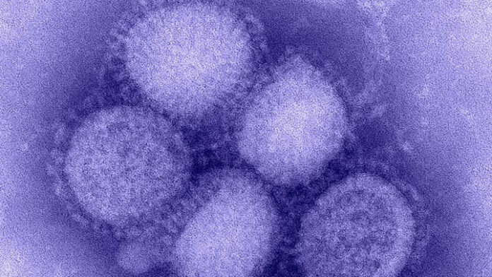 Reeds vijf doden door griepvirus in Suriname