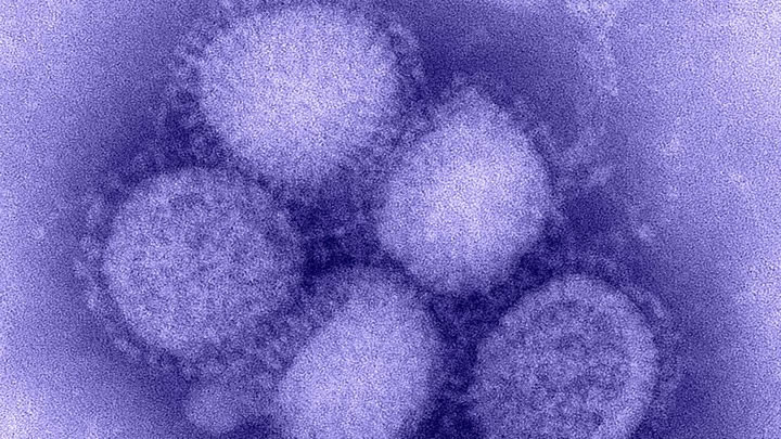 Reeds vijf doden door griepvirus in Suriname