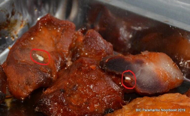 Sluiting restaurant in Suriname vanwege uitwerpselen van vliegen op voedsel