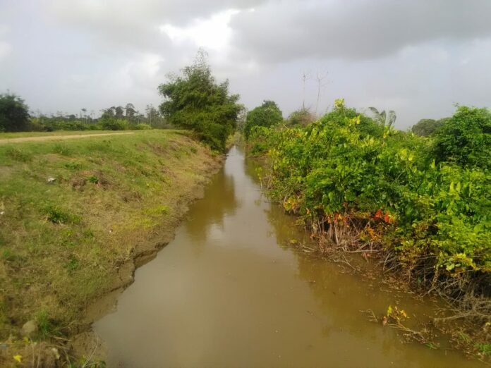 Infrastructuur Regio-West Nickerie aangepakt door ministerie van LVV in Suriname