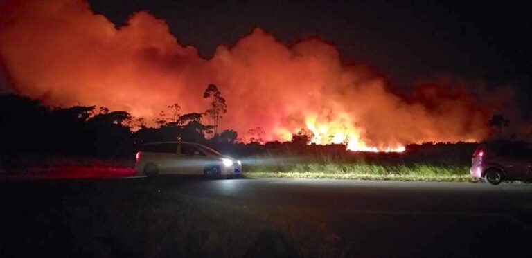 Brandweer Suriname uitgerukt voor grote bosbrand in Paramaribo-Noord