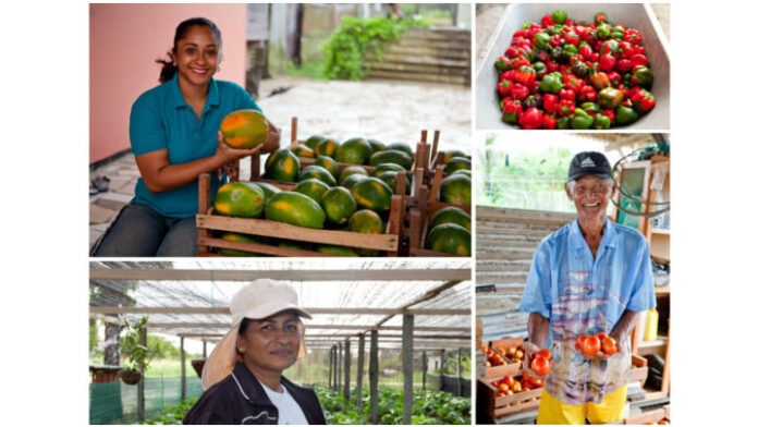 Award voor meest duurzaamste mkb-landbouwbedrijf in Suriname