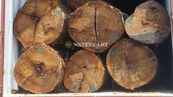 1.500 kilo cocaïne in container uit Suriname met boomstammen