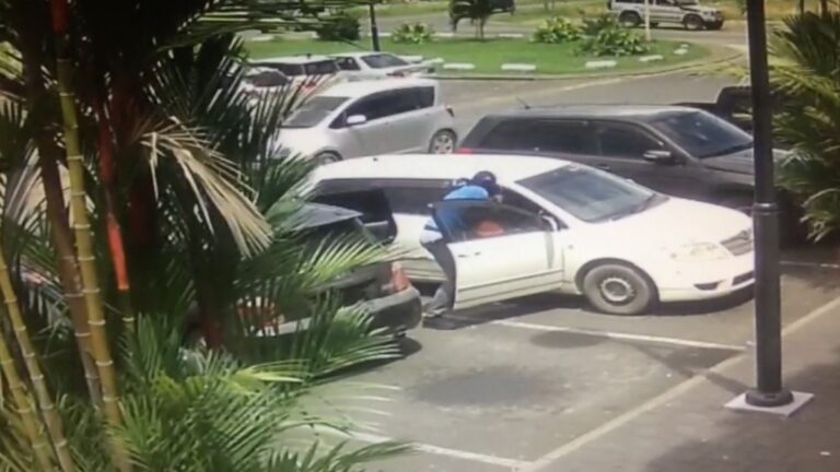 VIDEO: Brute roofoverval op automobilist in geparkeerde auto