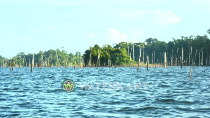Het stuwmeer in Suriname