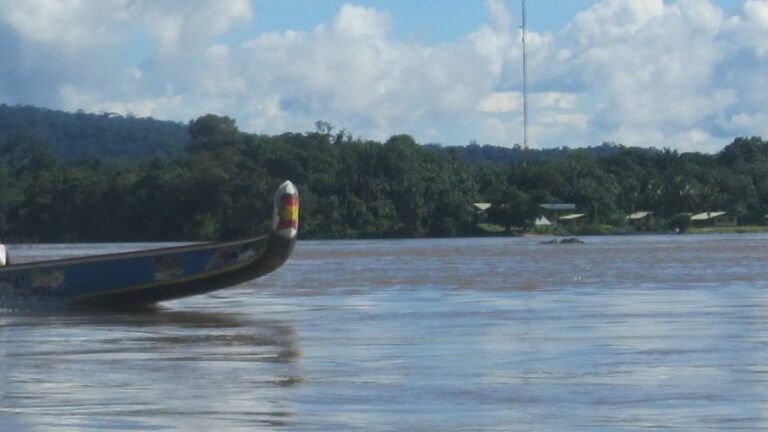 Boot rivier Suriname
