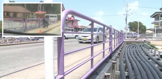 'Paars verven van brug over Sommelsdijck kreek tegen de norm en regels'