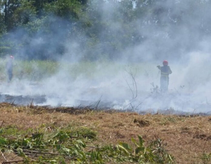 Stijging meldingen van gras-en vuilverbrandingen in Suriname