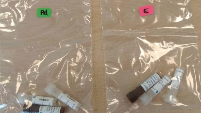 Suriname krijgt COVID-19 diagnostische test kits van PAHO