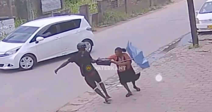 VIDEO: Brutale rover trekt tas van oudere vrouw met geweld weg