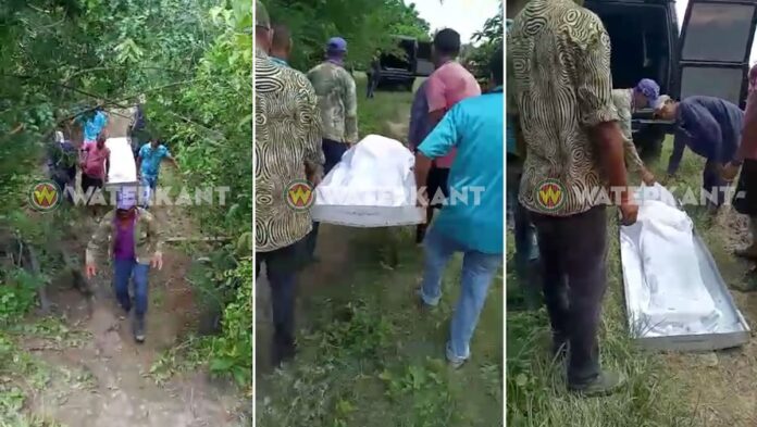 Veehouder dood aangetroffen op terrein in Nickerie