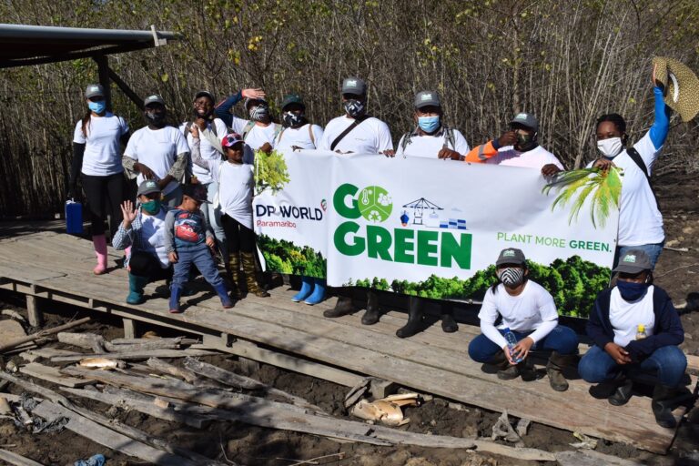 DP World Paramaribo ondersteunt mangrove-project voor 2e jaar op rij