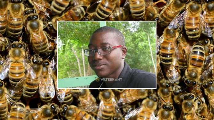 Man die overleed na bijenaanval was gaan jagen en vissen