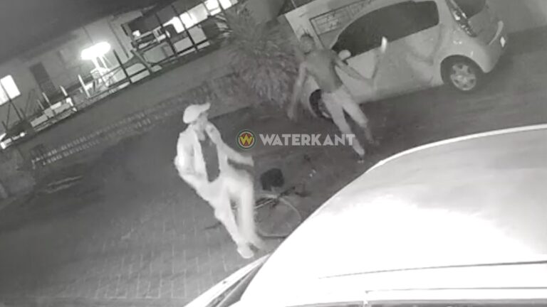 VIDEO: Buurtbewoner valt vermeende accudief aan met houwer
