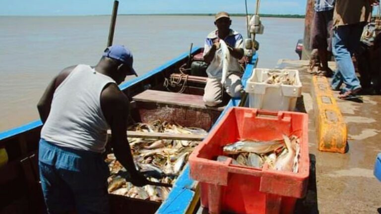 LVV geeft toestemming voor visserijactiviteiten tot monding Corantijnrivier