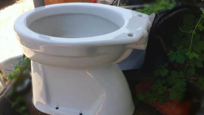 toiletpot