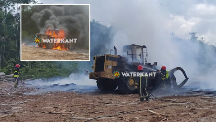 VIDEO: Boomstammen lader in brand gevlogen