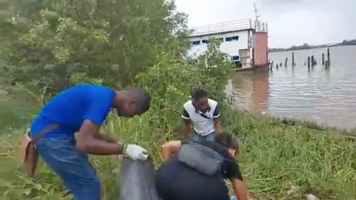 VIDEO: Vrijwilligers maken Waterkant en omgeving schoon