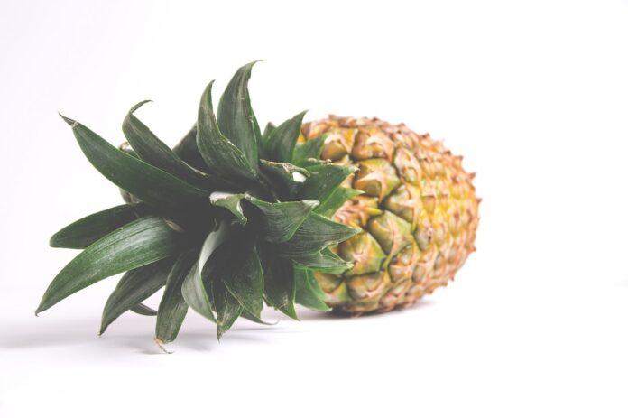 'Ananasproductie in Suriname kan 2e deviezenverdiener landbouw worden'
