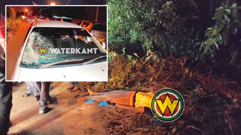 Trimmende vrouw doodgereden door dronken automobilist