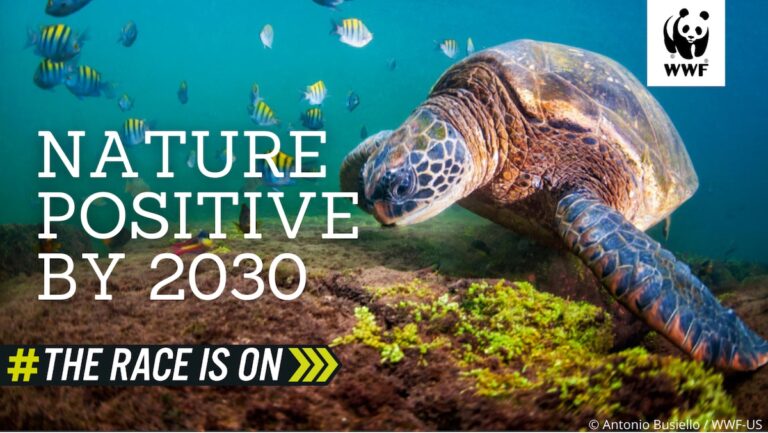 WWF: Ondertekening Leaders Pledge for Nature door Suriname en Guyana op het juiste moment