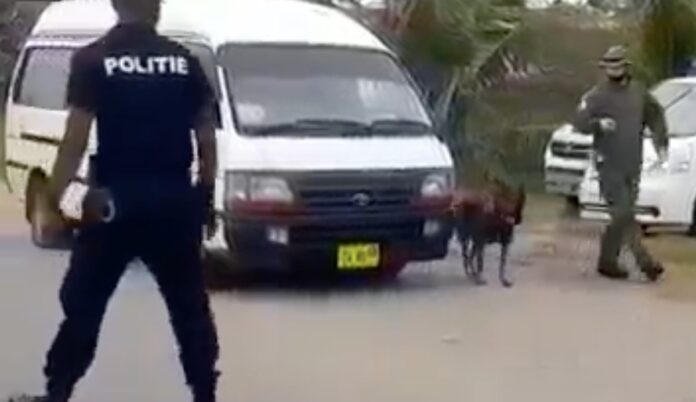 VIDEO: Speurhonden ingezet bij bestrijding illegale handel in wilde dieren