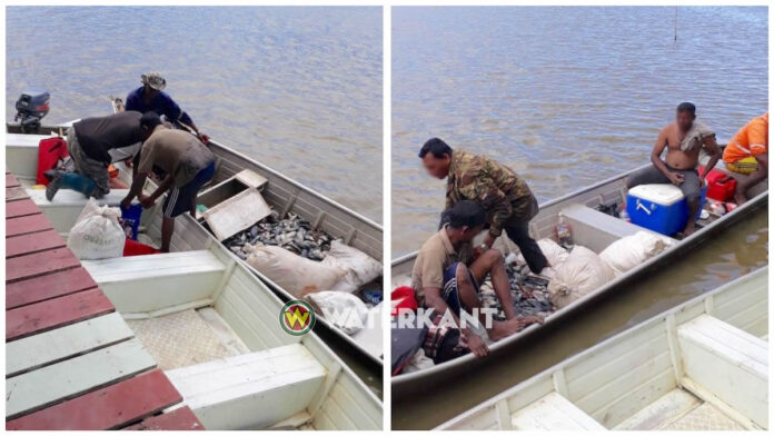 Jachtopzieners betrappen illegale vissers in Bigipan beheersgebied