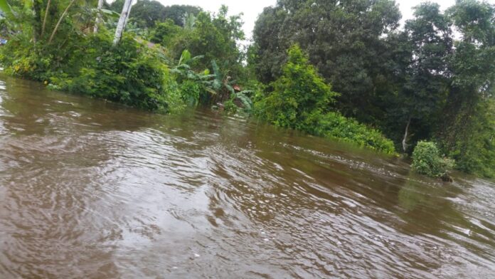 De wateroverlast in het binnenland van Suriname