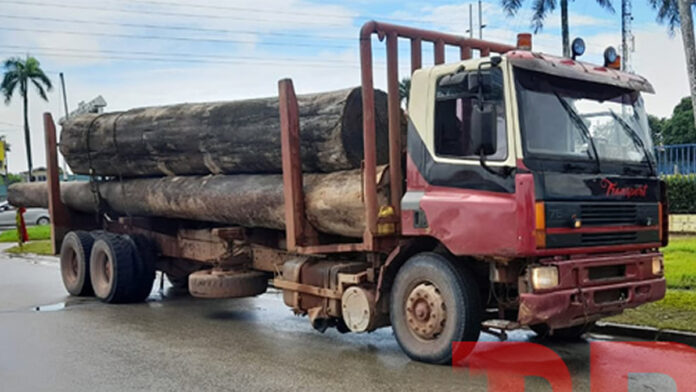 Politie treedt op tegen truck beladen met houtblokken