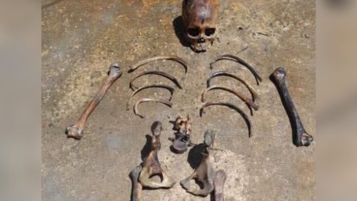 Wederom skelet gevonden langs Guyanese kust