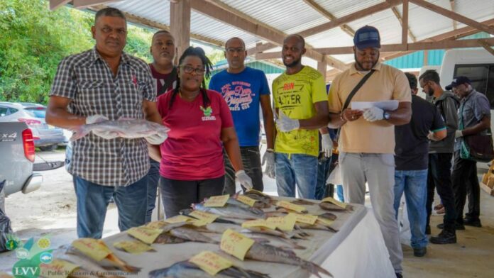 LVV traint data opnemers  voor de visserijsector