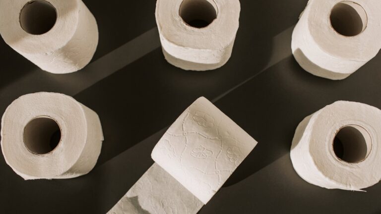 Meer dan 250 rollen toiletpapier gestolen in Duits treinstation