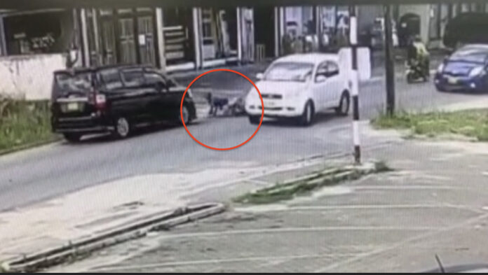 VIDEO: Bromfietser na val overreden door aankomend busje