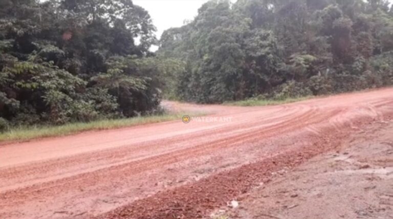 de Weg naar Langatabiki in Suriname