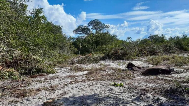 Suriname werkt aan actieplan om woestijnvorming tegen te gaan